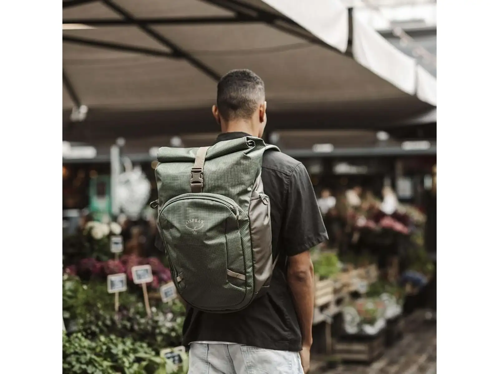 Auf Lager Neuheit Osprey Transporter Roll Top Rucksack Pine Leaf
