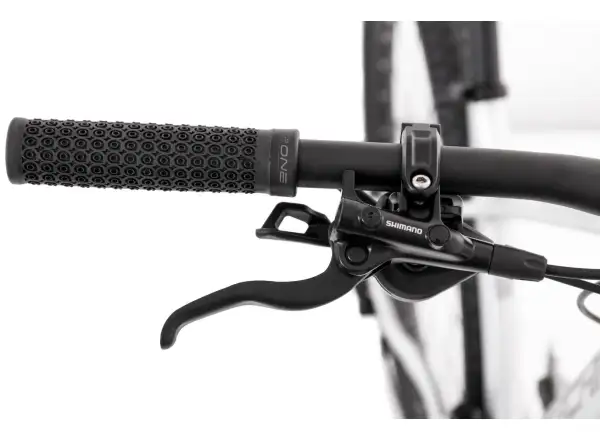 Rock Machine Torrent 50 29 Mountainbike Silber/Grau
