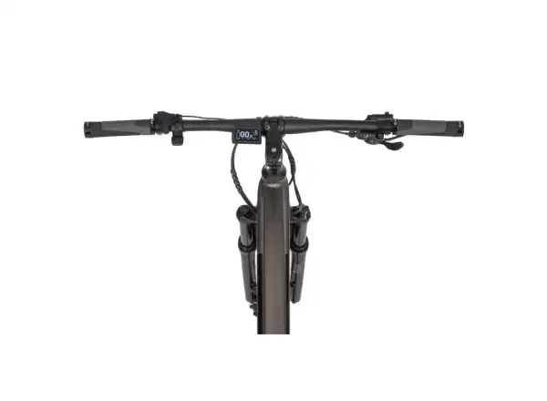 Ecobike SX 300 elektrisches Mountainbike 672 Wh Copper Black