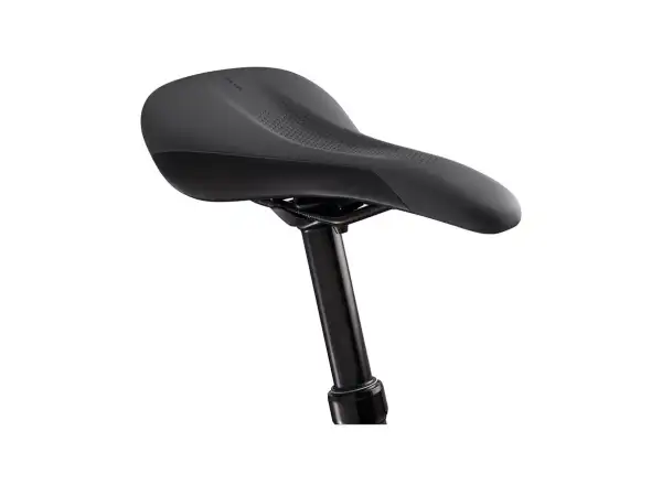 Liv Embolden 29 1 Mountainbike Mattschwarz