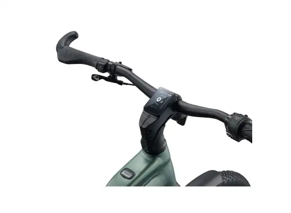 Giant Explore E+ 2 DD Trekking-E-Bike Alpine Green