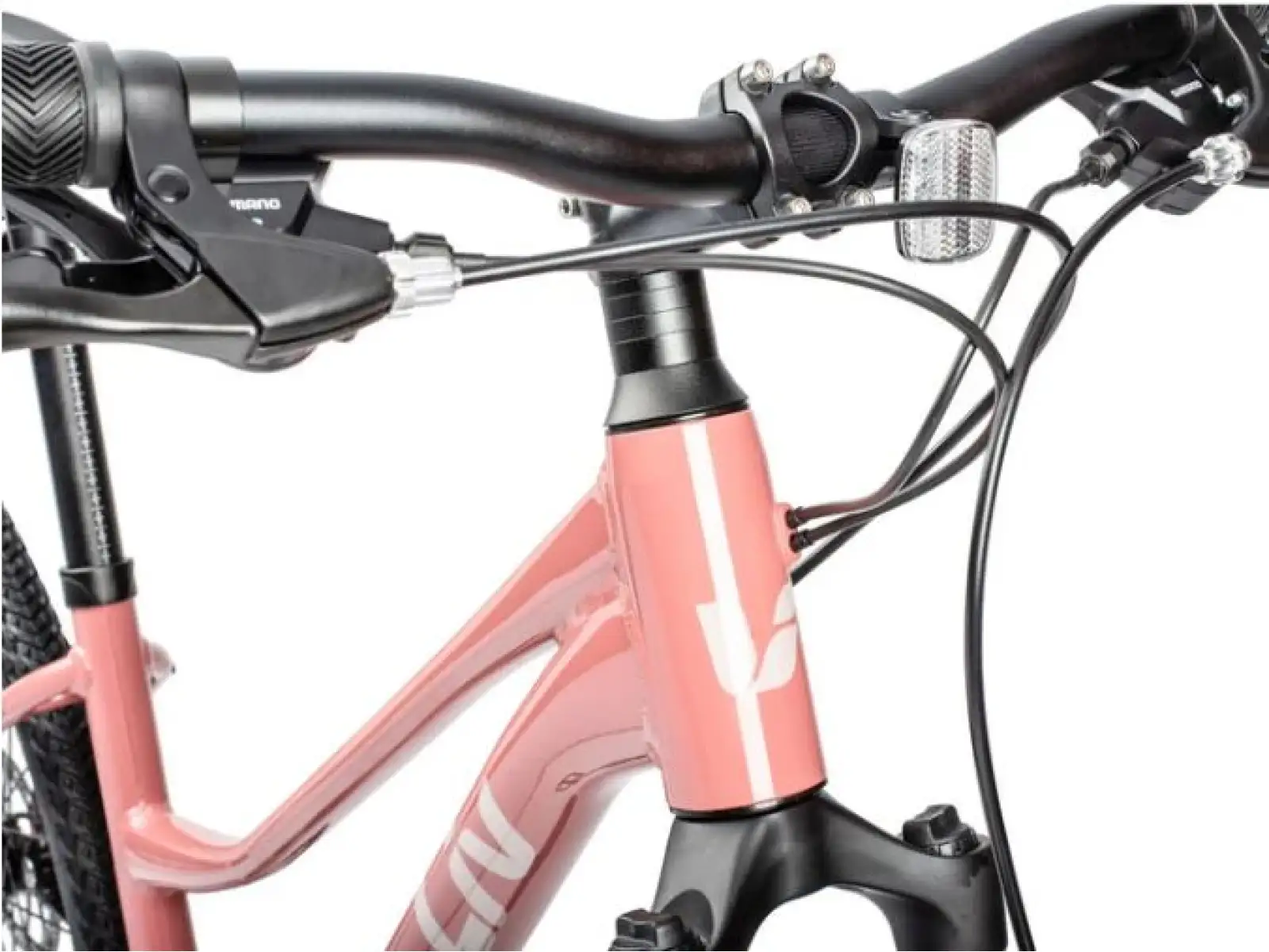Liv Rove 4 DD Trekking Fahrrad in Terra Rosa.