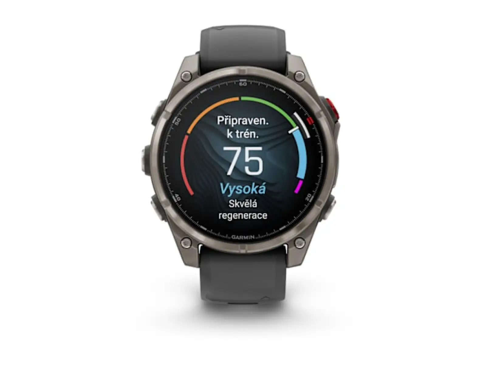 Garmin fenix 8 Pro 47 mm, AMOLED Sapphire, Titanium mit Silikonarmband Graphite/Black