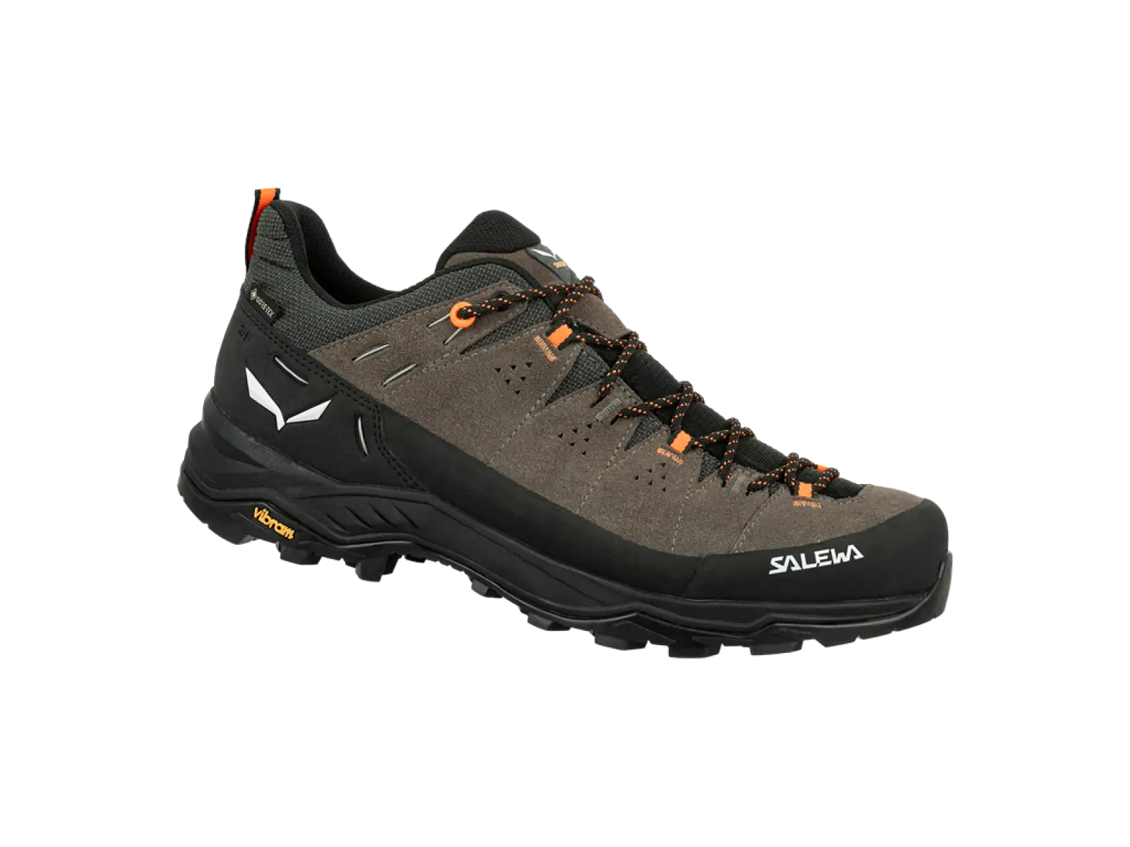 Salewa Alp Trainer 2 GTX Herrenschuhe Bungee Cord/Black