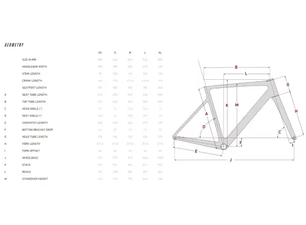 Focus IZALCO MAX 9.0 Rennrad Silber glänzend / Dunkel Silber glänzend