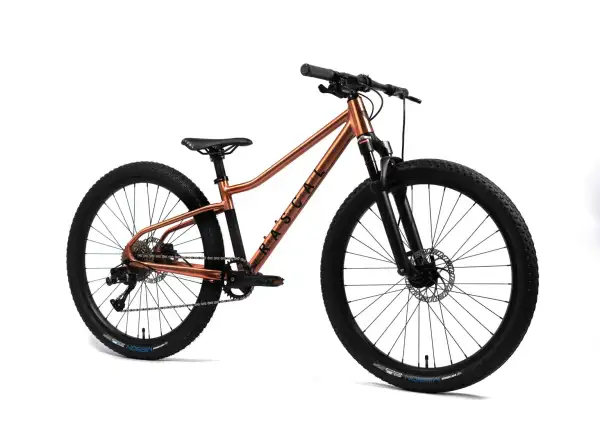 Rascal Wild 26 Kinderfahrrad Bronze