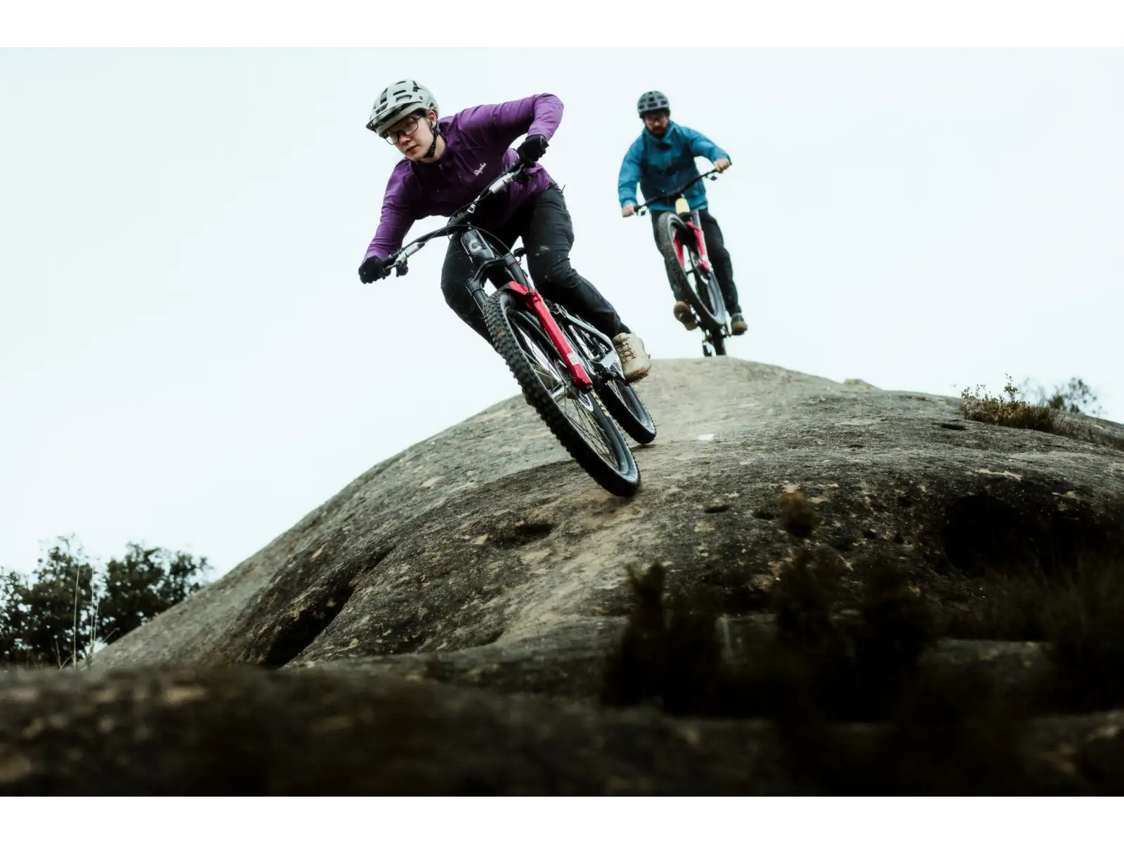 Cannondale Bad Habit 1 Mountainbike RAW Carbon