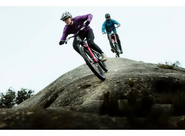 Cannondale Bad Habit 1 Mountainbike RAW Carbon