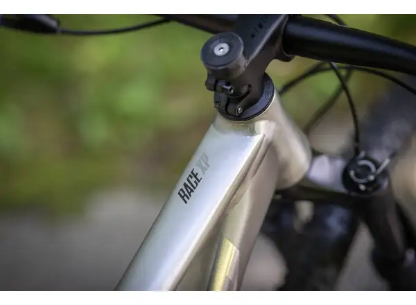 Superior XP 939 Mountainbike Gebürstetes Alu/Hologramm Chrom