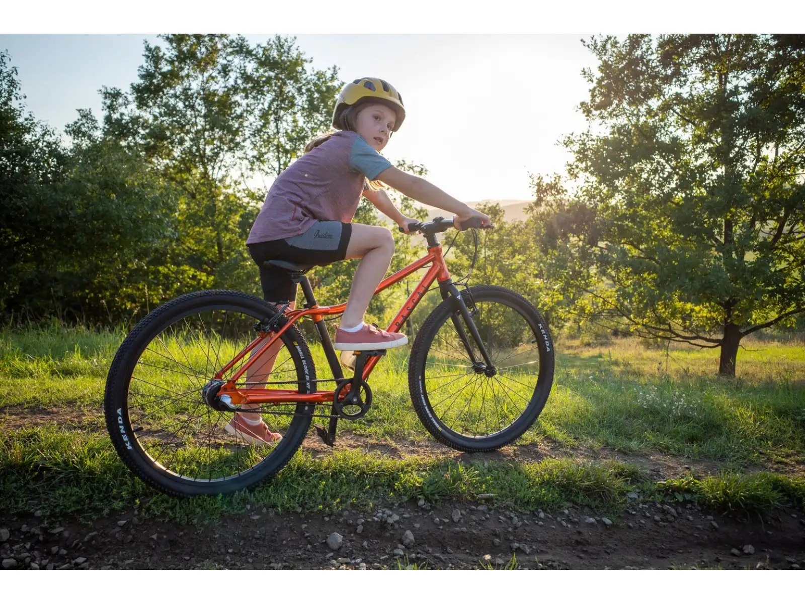 Rascal 26 5 sp. Sturmey Archer Kinderfahrrad Flame