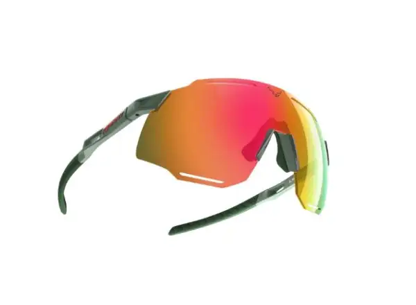 Dynafit Alpine Evo Brille Salbei/Thymian