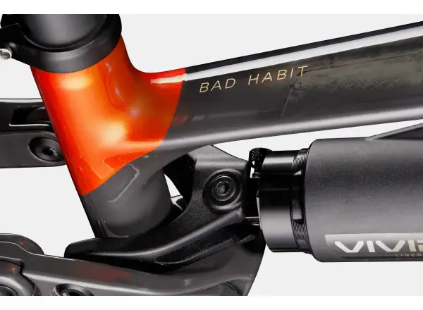 Cannondale Bad Habit 1 Mountainbike RAW Carbon