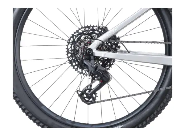 Crussis e-Fionna AX 10.12-M2S(800) Mountain-E-Bike