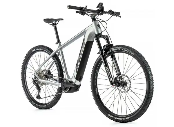 Apache Hupahu 1 E-Mountainbike (Bosch 750 Wh) Silber