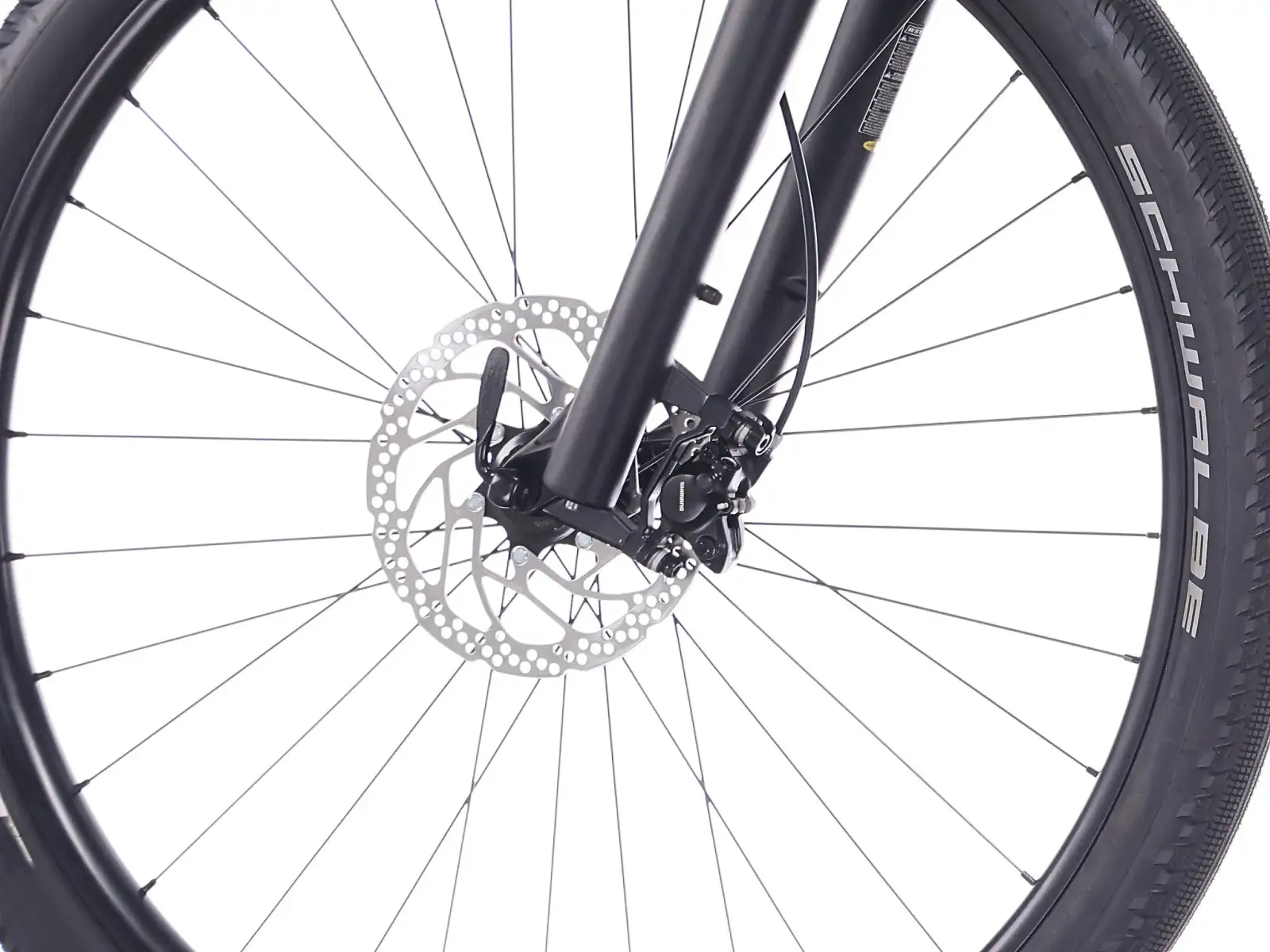 Superior eXP 6.4 STEPS Mountain-E-Bike Gloss Greige