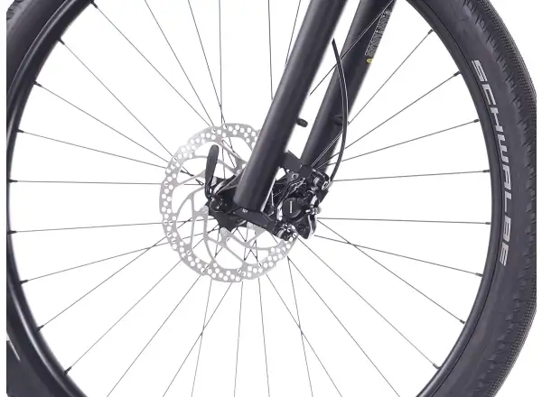 Superior eXP 6.4 STEPS Mountain-E-Bike Gloss Greige