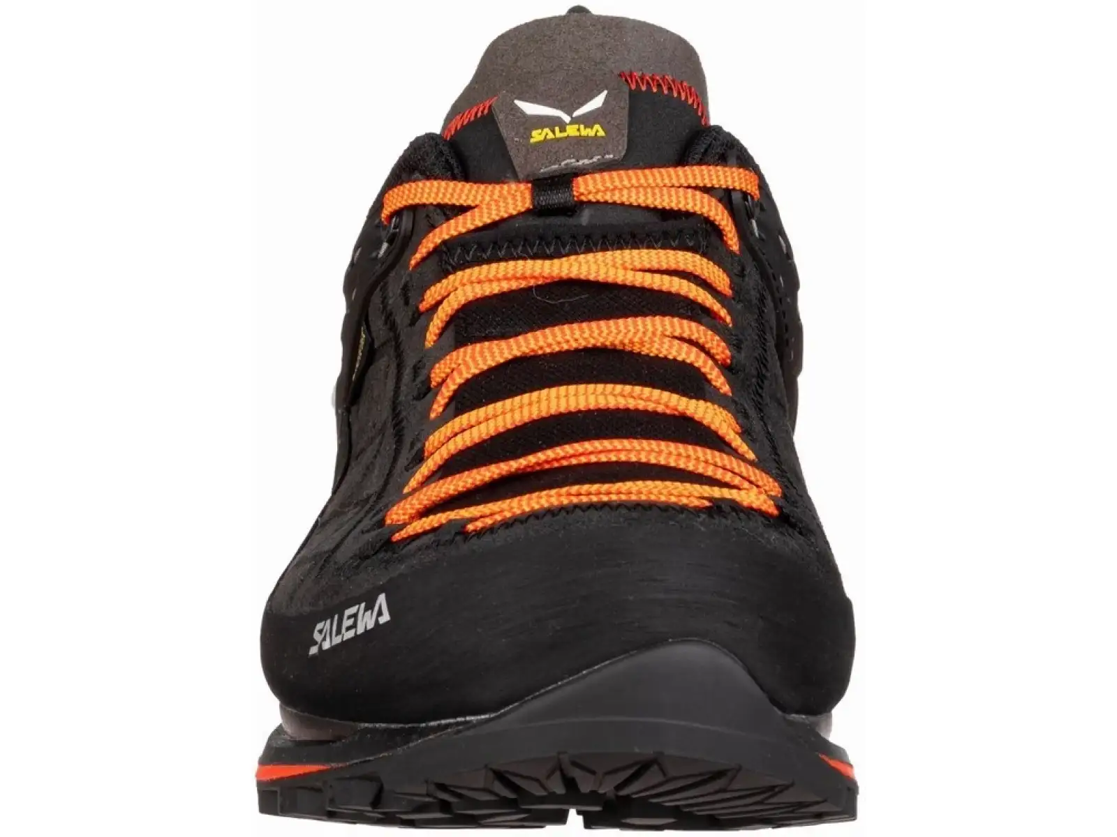 Salewa MTN Trainer 2 GTX Herren-Trekkingstiefel in Schwarz.