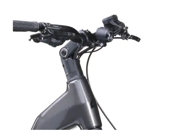 Crussis ONE-Country AX 8.12-M2(600) City-E-Bike