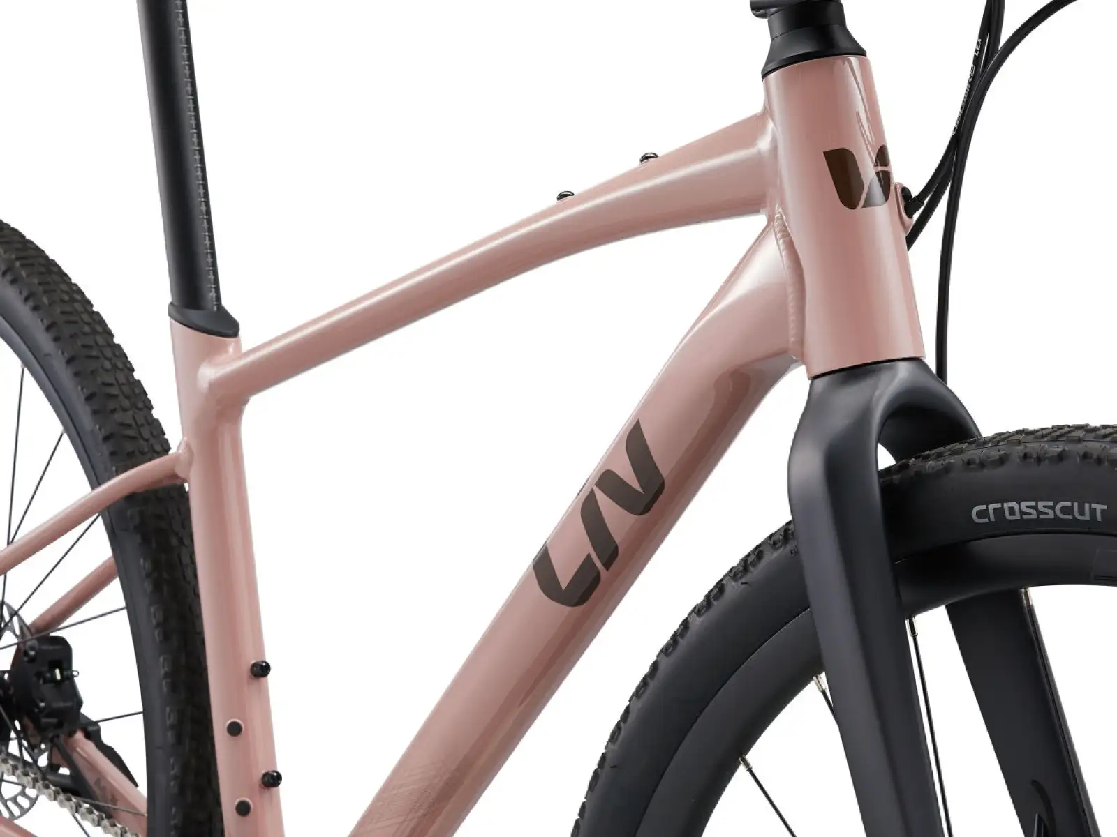 Liv Thrive GX Fitnessrad von Petra Clay.