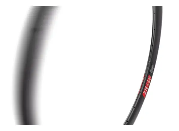 DT Swiss XM 431 29" MTB Felge schwarz