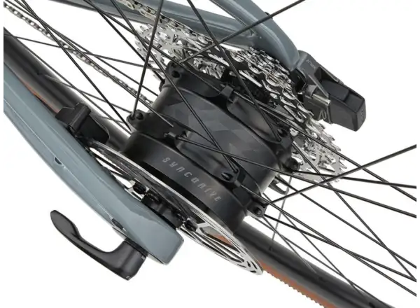 Liv Avail Advanced E+ Elite AR Renn-E-Bike Eucalyptus/Ocean Storm