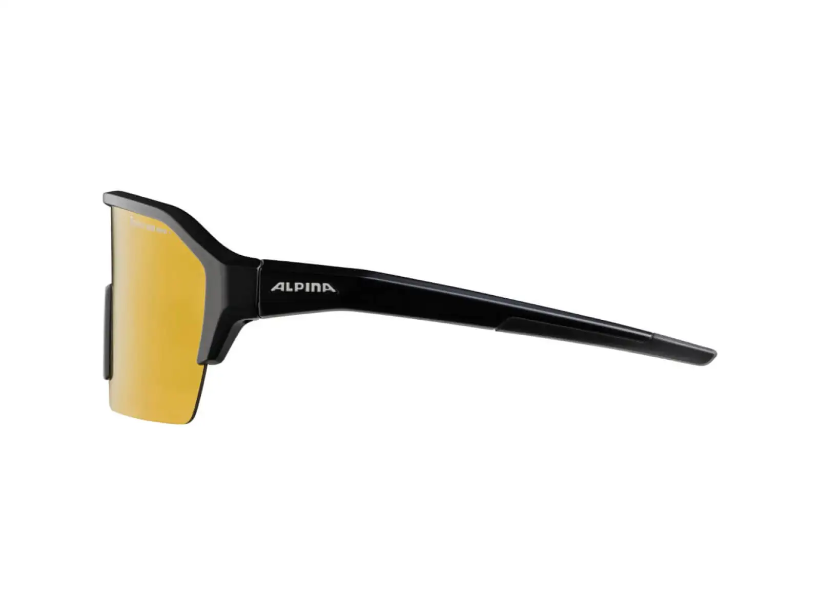 Alpina Ram HR Q-Lite V Brille Black Matt