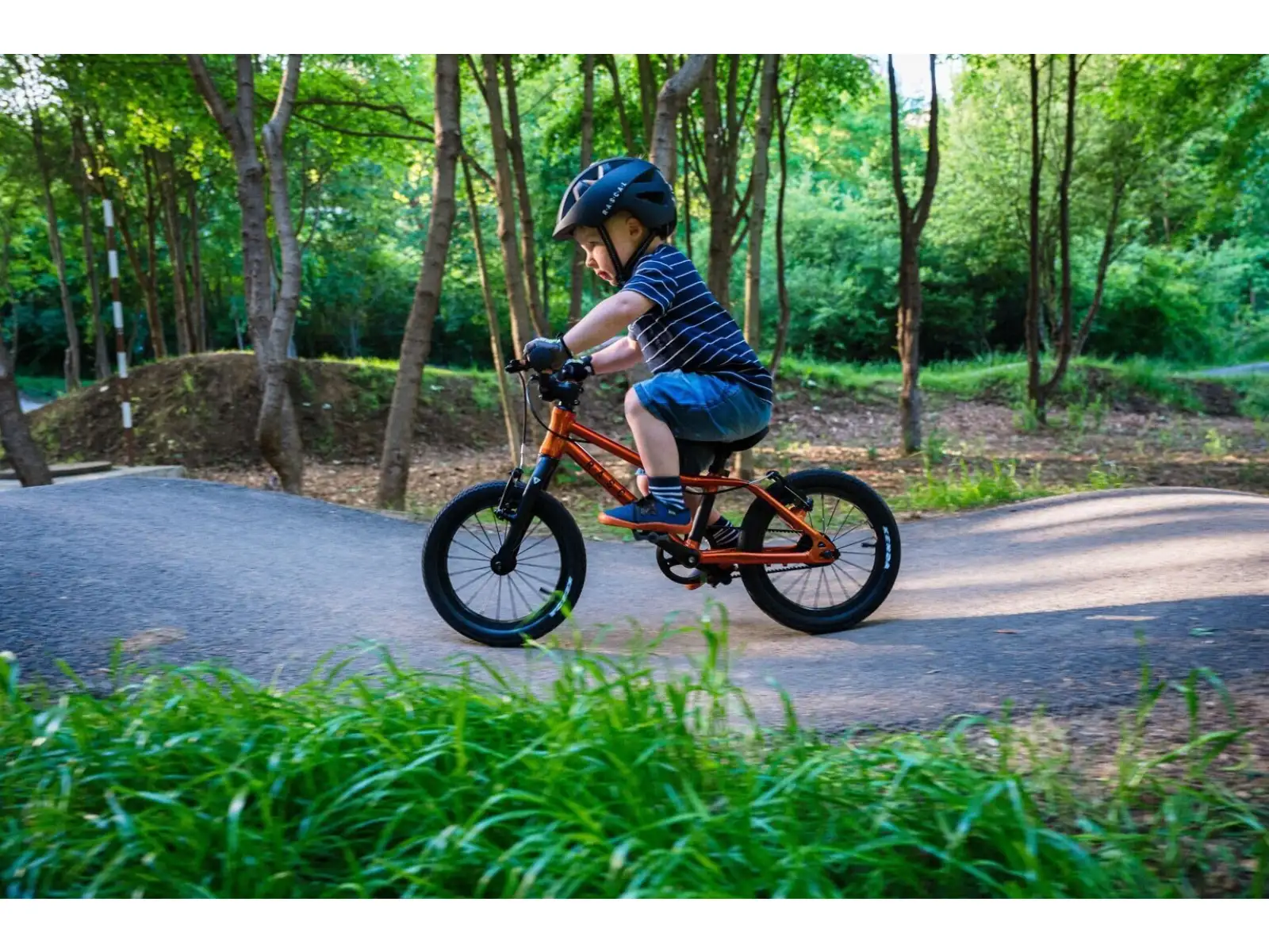 Rascal 14 Kinderfahrrad Titanium