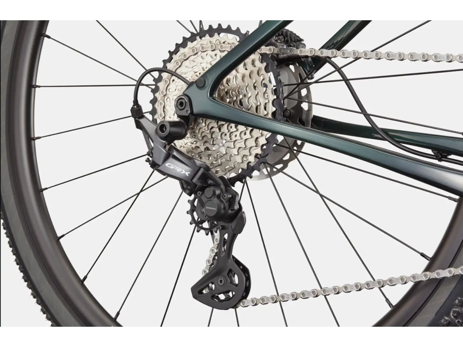 Cannondale Topstone Carbon 2 Lefty Gravelbike Grün Größe M.