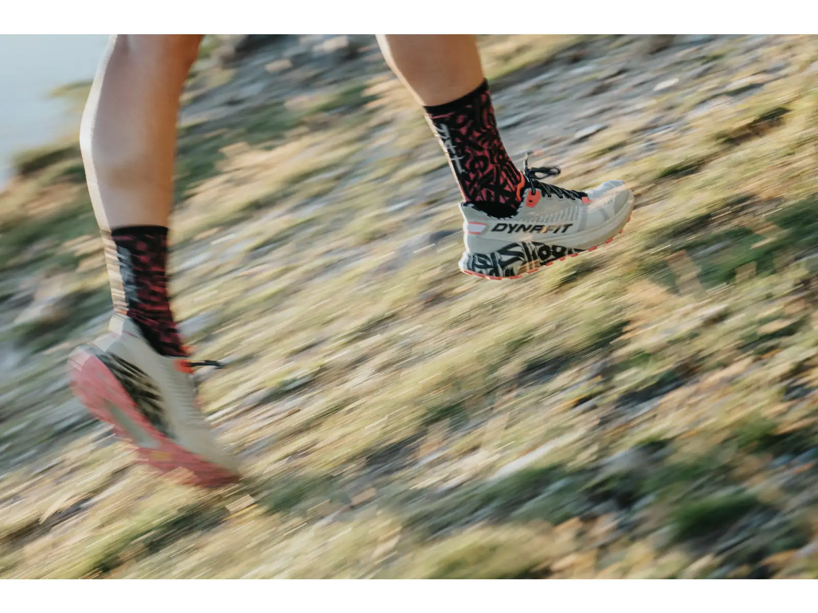 Dynafit Trail Graffic Damen Laufschuhe Overcast/Black Out