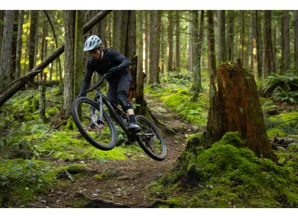 Giant Stance 2026 Mountainbike Black