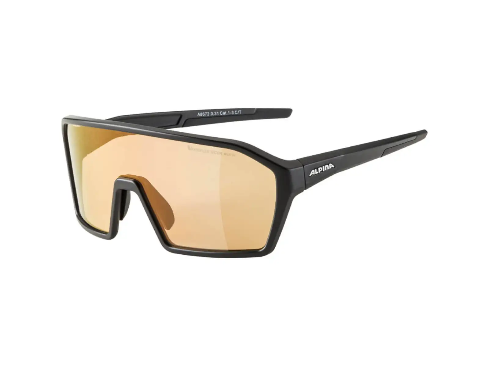Alpina Ram Q-Lite V Brille Black Matt