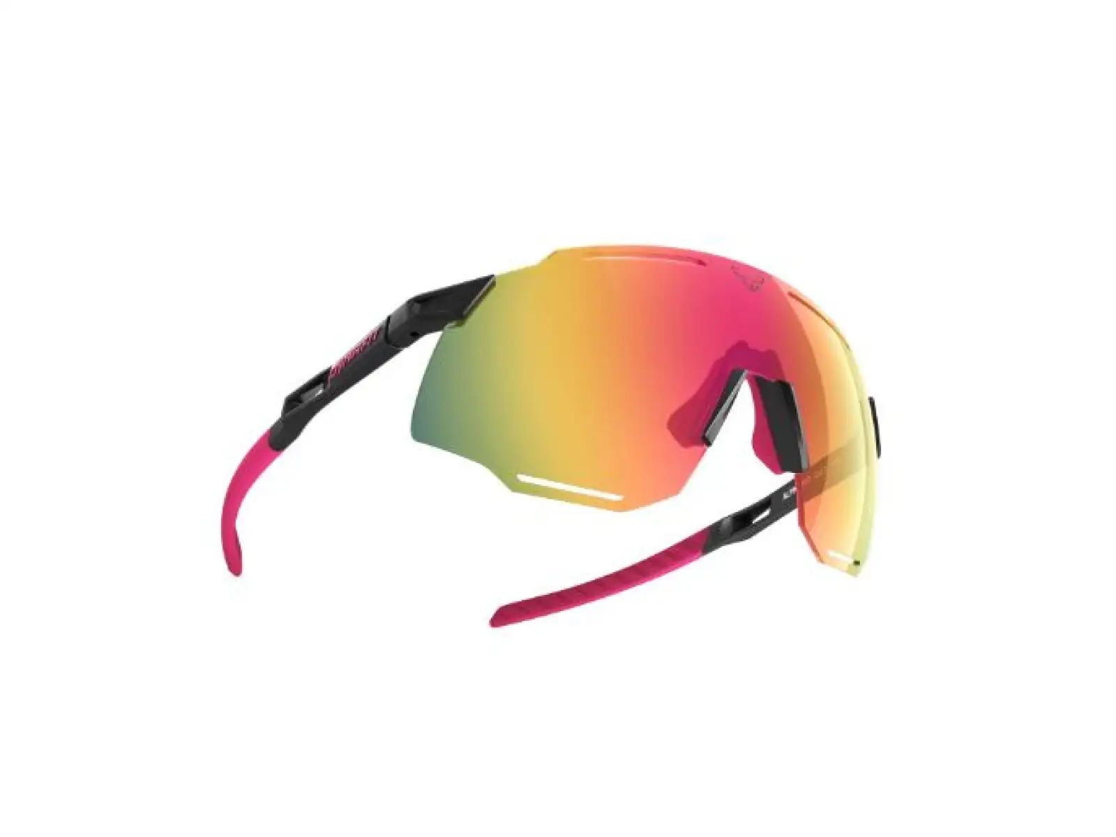 Dynafit Alpine Evo Brille Schwarz/Grellrosa