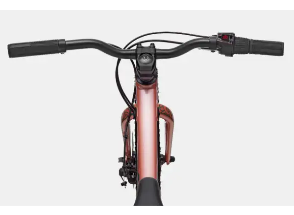 Cannondale Trail Plus 20 Kinderfahrrad Salmon