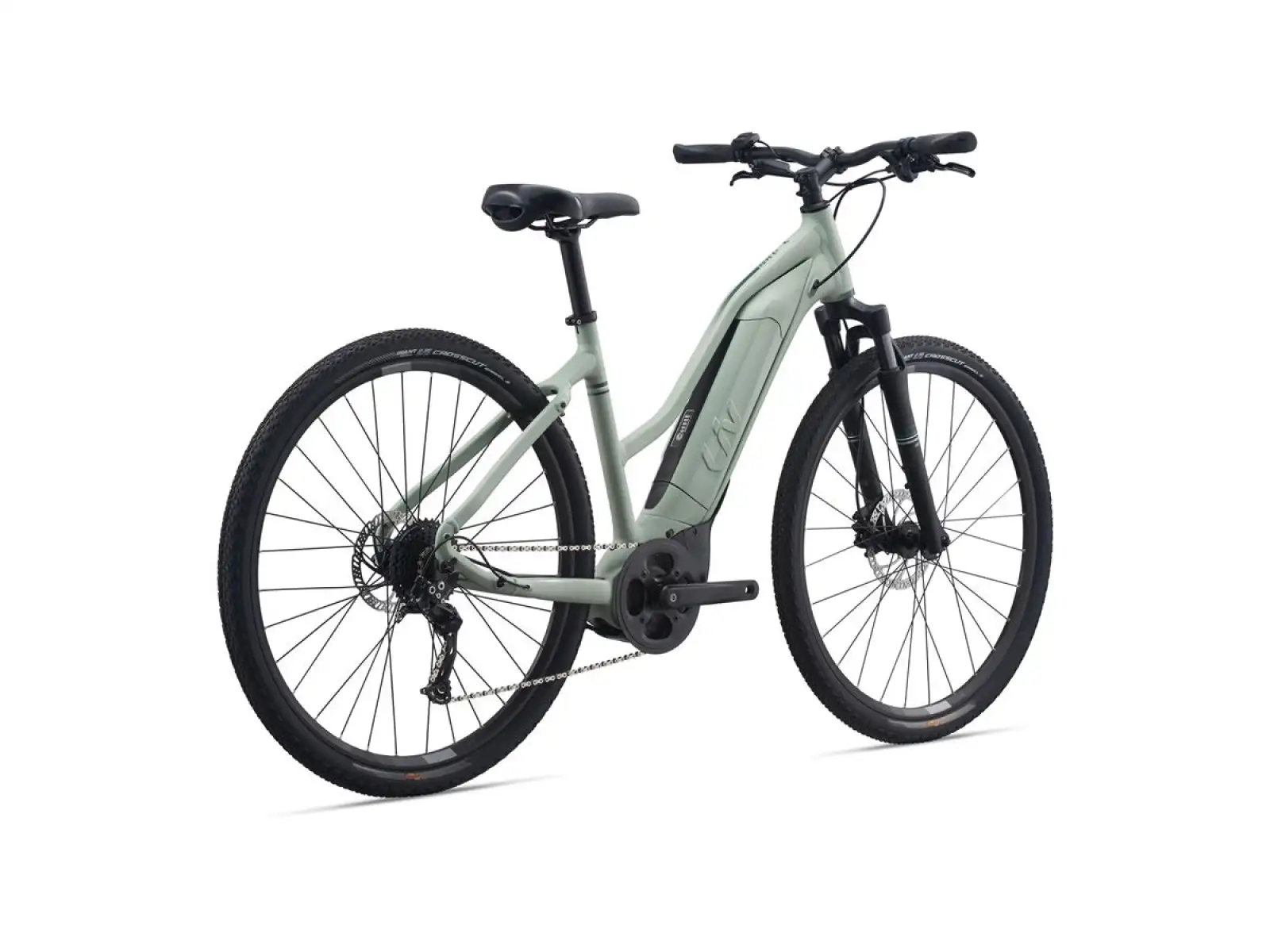 Liv Rove E+ Damen E-Bike Laurel