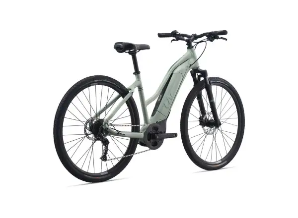 Liv Rove E+ Damen E-Bike Laurel