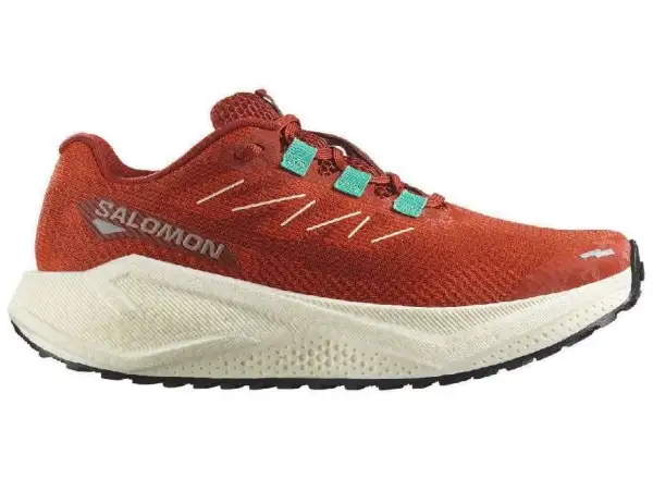 Salomon Aero Blaze 3 GRVL W Damen-Laufschuhe Burnt Ochre/Vanilla Ice/Vanilla Ice