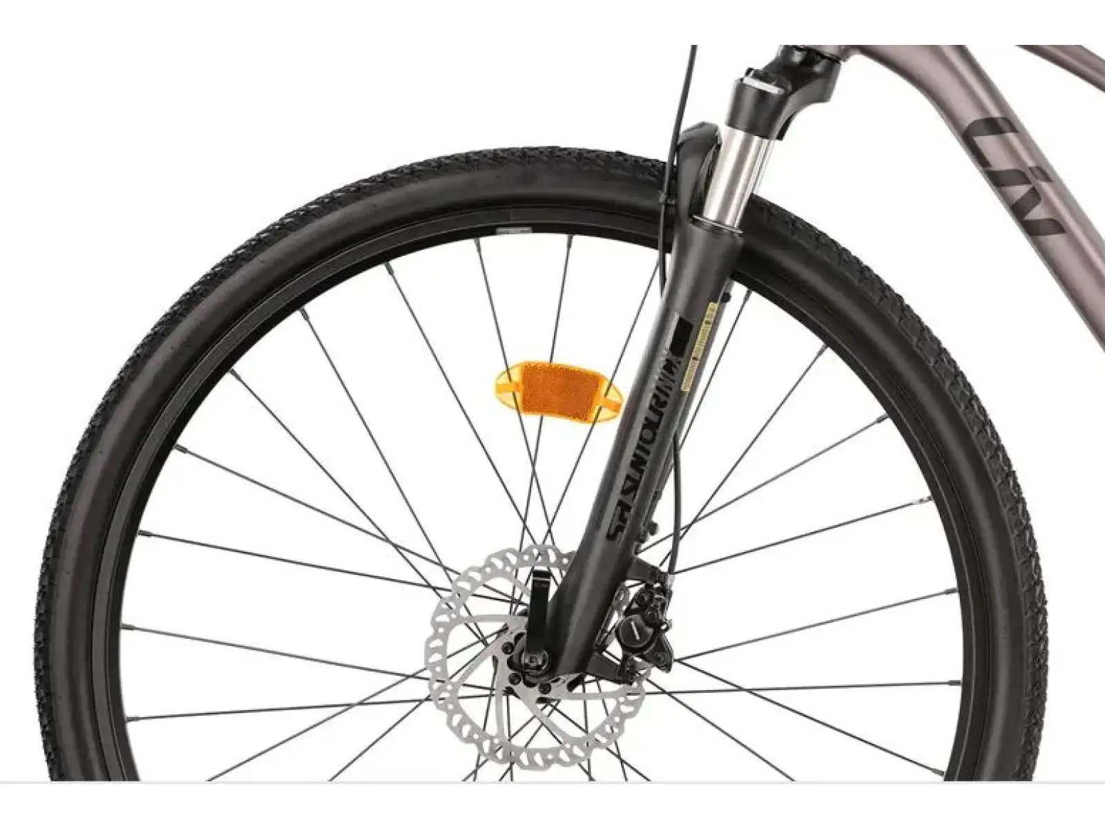 Liv Rove 1 DD Damen-Trekkingrad Dark Eclipse