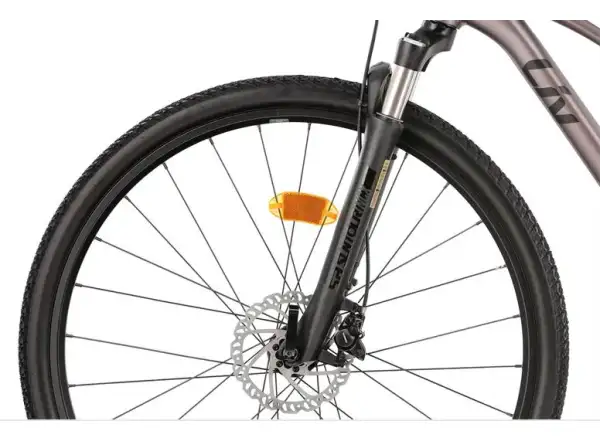 Liv Rove 1 DD Damen-Trekkingrad Dark Eclipse