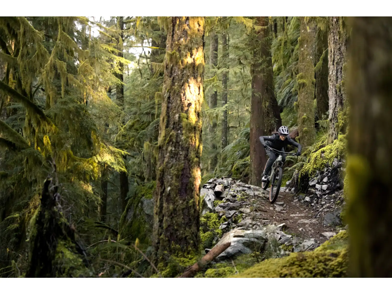 Liv Embolden 2026 Mountainbike Pale Moss