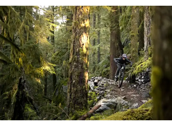 Liv Embolden 2026 Mountainbike Pale Moss