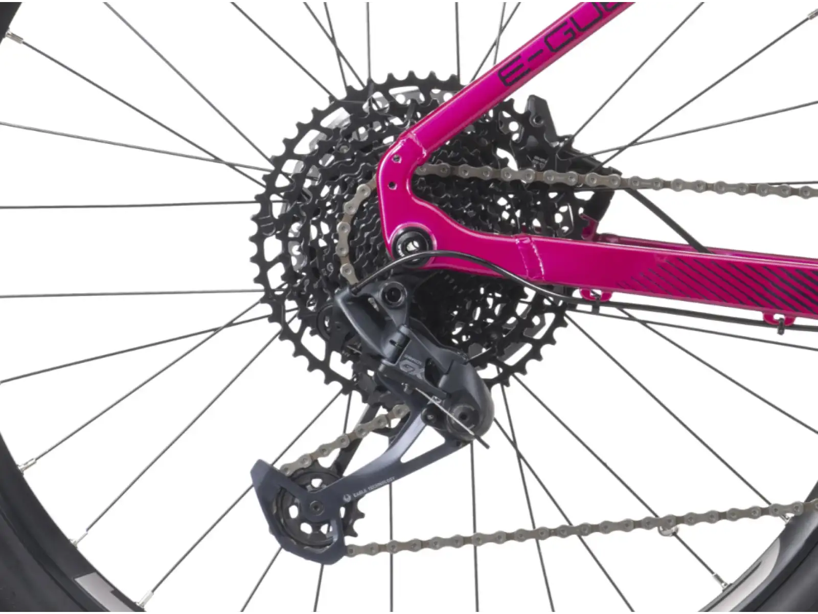 Crussis e-Guera 10.10-M (720 Wh) Mountain-E-Bike