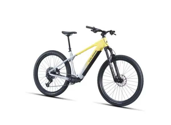 Crussis e-Largo AX 10.12-M2S(800) Mountain-E-Bike