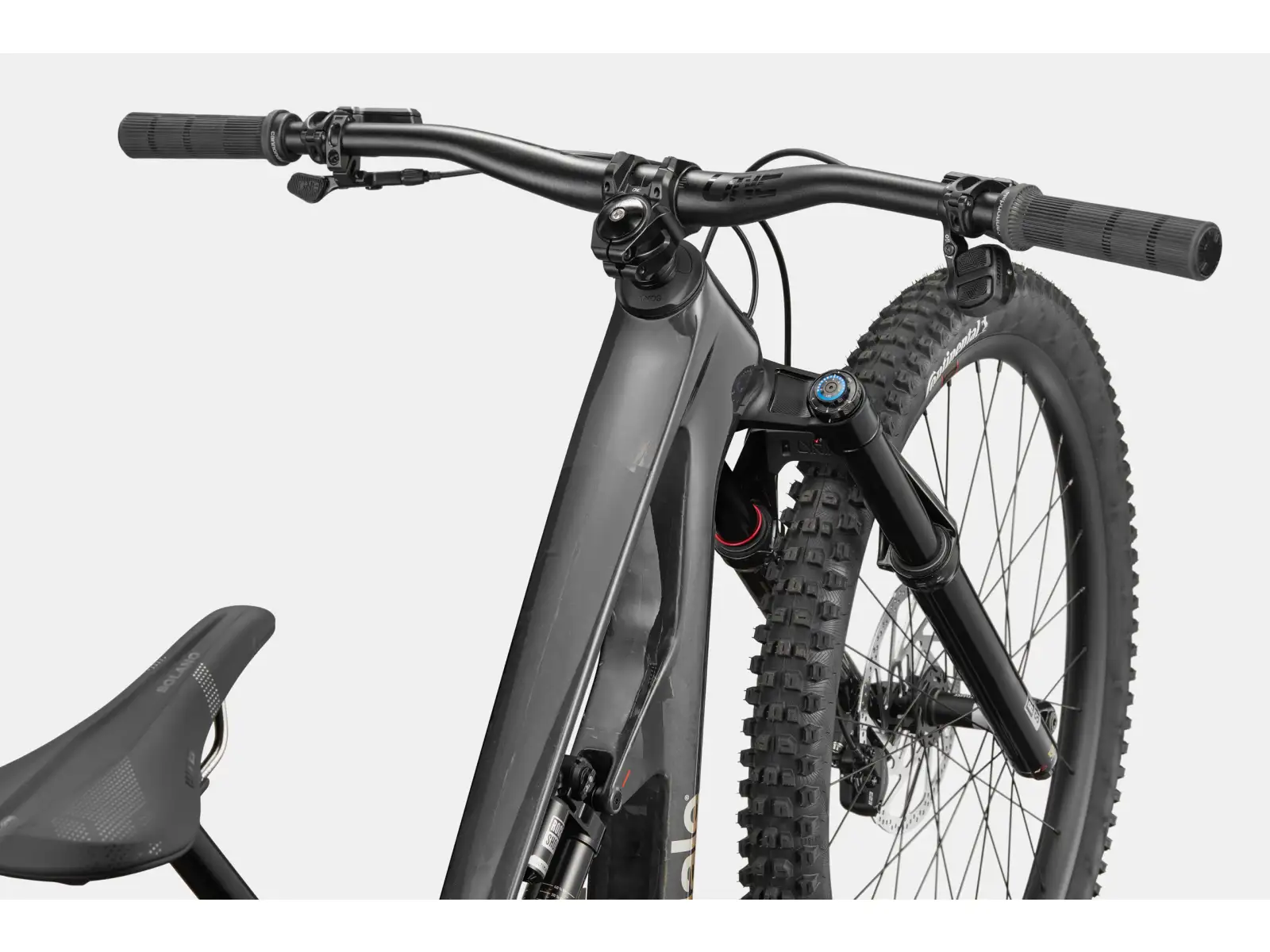 Cannondale Bad Habit 1 Mountainbike RAW Carbon