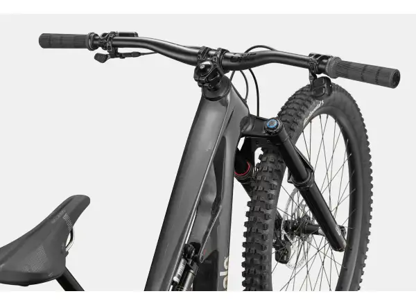Cannondale Bad Habit 1 Mountainbike RAW Carbon