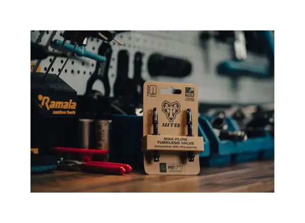 WTB TCS Max-Flow Tubeless Ventile 44 mm schwarz 2 Stück