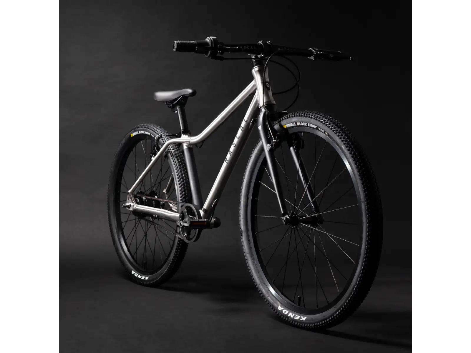 Rascal 24 3 sp. Shimano Nexus Kinderfahrrad Titan