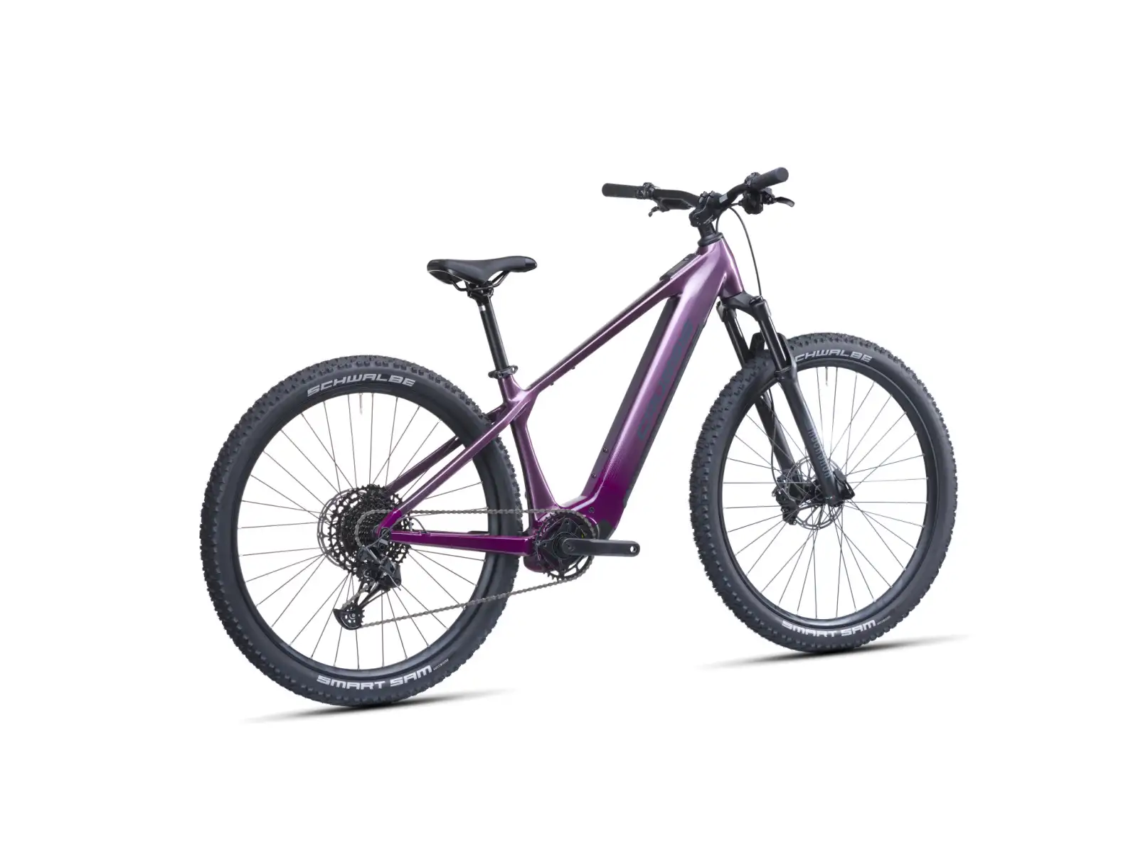 Crussis e-Fionna AX 9.12-M2S(600) Mountain-E-Bike