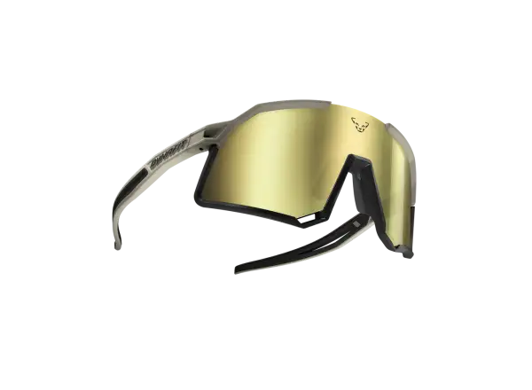 Dynafit Trail Evo Brille Rock Khaki/Schwarz Out Kat. 3