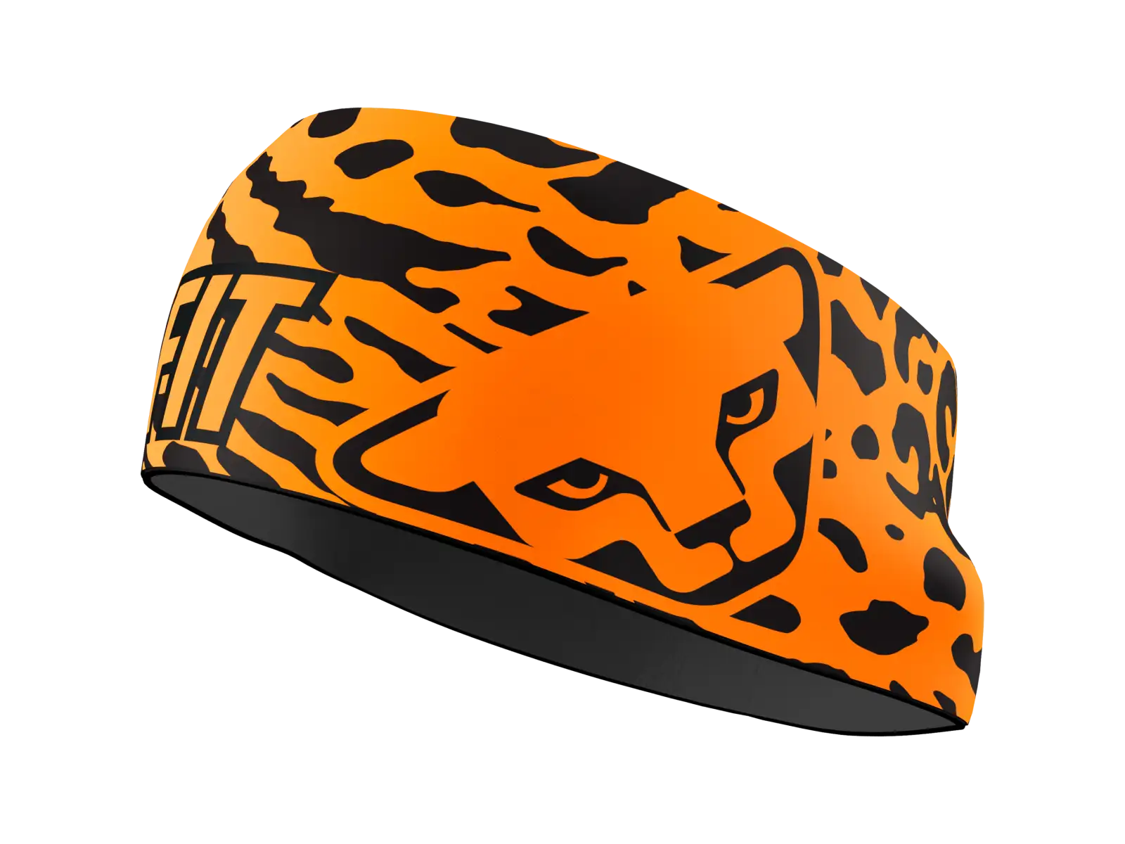 Dynafit Graphic Performance Stirnband Cabana/Gradient