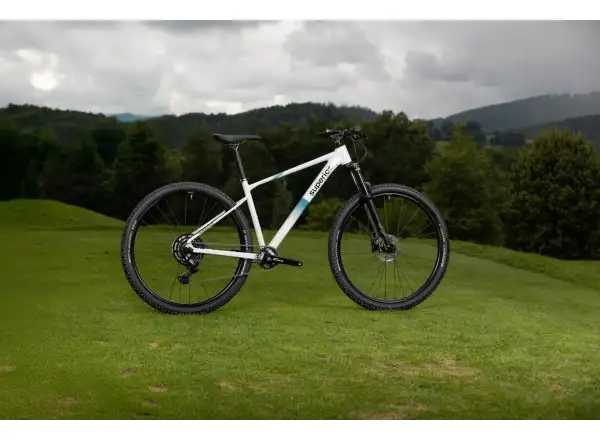 Superior XC 6.2 Mountainbike Gloss Grey/Petrol